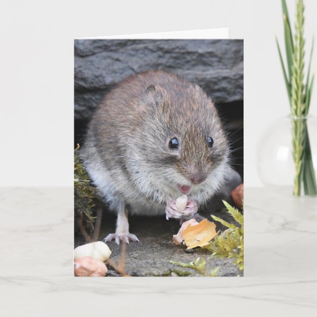 Carte Bank vole scotland (Devant)