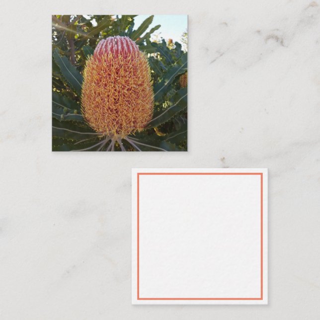 Carte Banksia (Devant / Derrière)