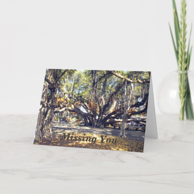 Carte Banyon Tree à Lahaina Maui, Missing You (Devant)