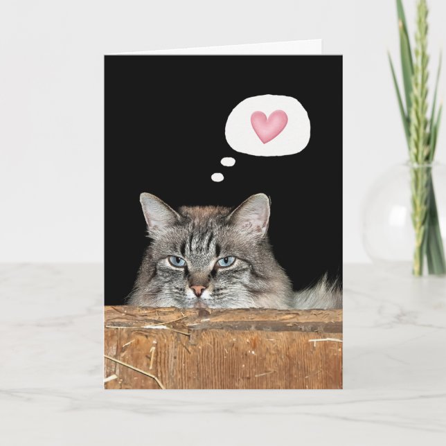 Carte Barn Cat Penser à vous (Devant)