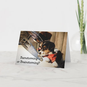 Carte BARNSTORMING/BRAINSTORMING TERRIERS "40e"