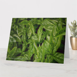 Carte Basil Fine Art