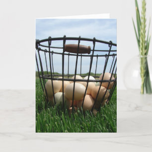 Carte Basket d'Eggs