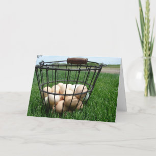 Carte Basket d'Eggs