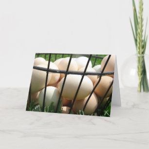 Carte Basket d'Eggs