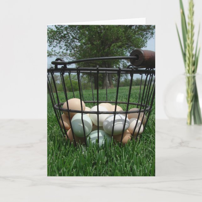 Carte Basket d'Eggs (Devant)