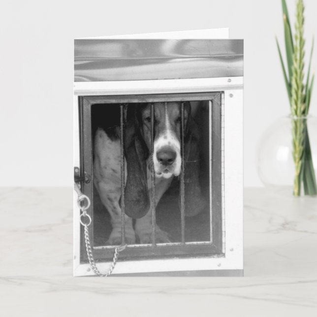 Carte basse hound (Devant)