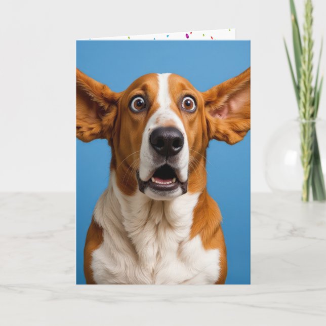 Carte Basset Hound Anniversaire humoristique (Devant)