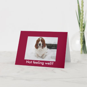 Carte Basset Hound avec le visage triste drôle obtenir c