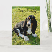 Basset Hound Chien Chien Chien Chien Heureux Anniv