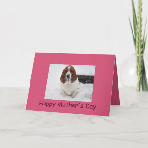 Carte Basset Hound Fête des mères