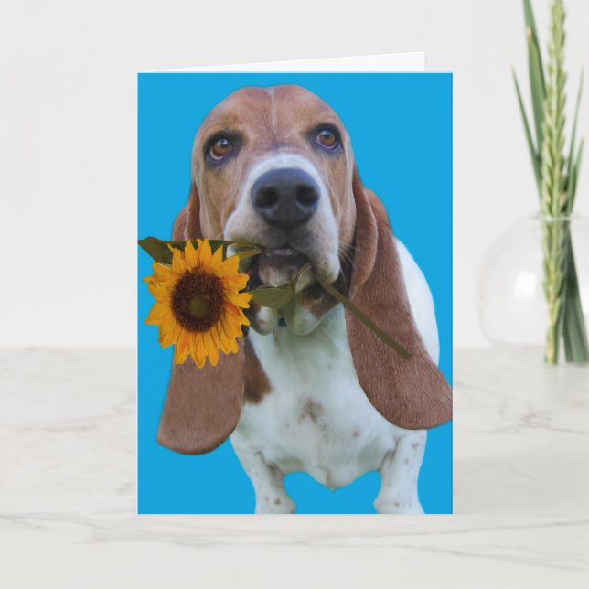 Carte Basset Hound Get Well Card (Devant)