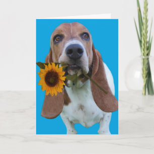 Carte Basset Hound Get Well Card