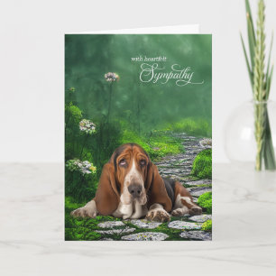 Carte Basset Hound Green Garden Path Pet Sympathie