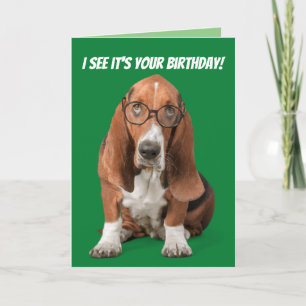 Carte Basset Hound Je vois que c'est ton anniversaire