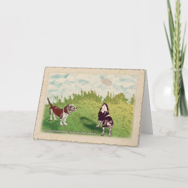 Carte Basset Hounds - Printemps dans l'air (Devant)