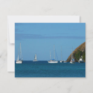 Carte Bateaux à voile dans la baie Blancs et Bleus Nauti