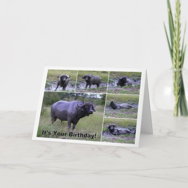 Carte Bath de boue de Buffalo de cap de joyeux (Devant)
