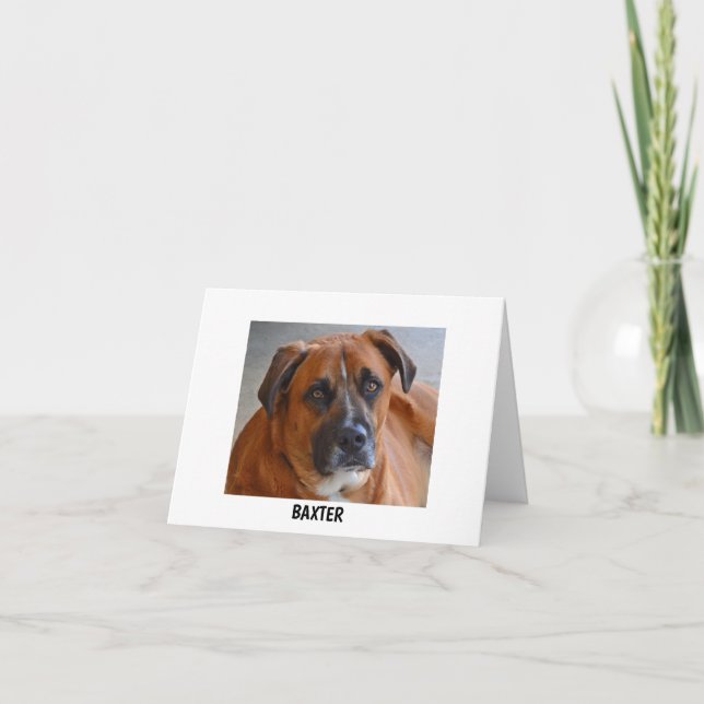 Carte - Baxter (Devant)