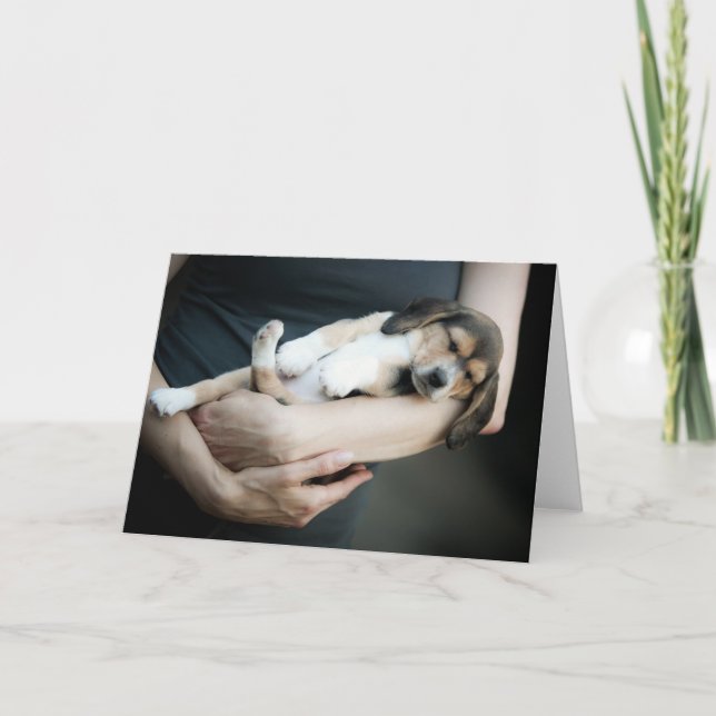 Carte Beagle Bébé Dormir Dans Les Armes (Devant)