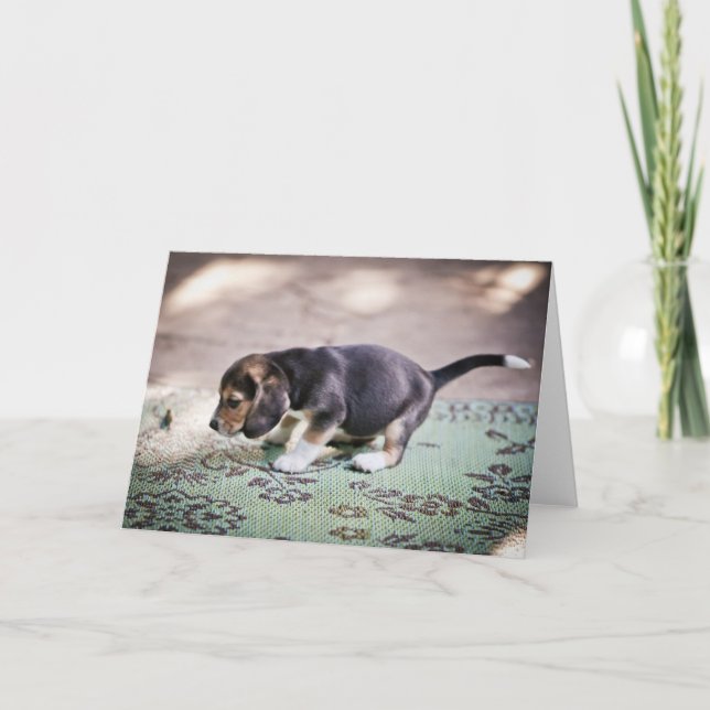 Carte Beagle bébé et feuille (Devant)