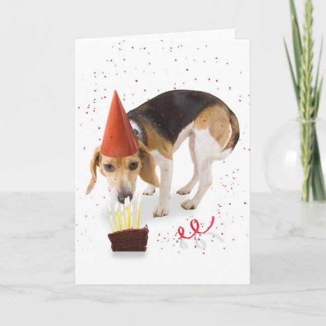 Carte Beagle d'anniversaire (Devant)