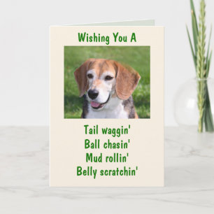 Carte Beagle de Howlin Joyeux anniversaire