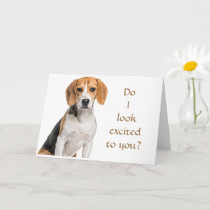 CARTE BEAGLE NE PEUT PAS CROIRE À COMMENT "JEUNE" VOUS R