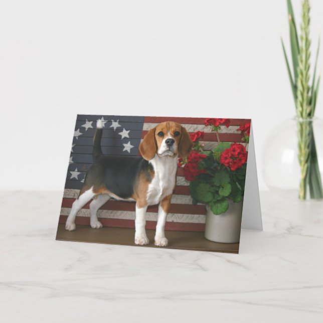 Carte Beagle patriotique (Devant)