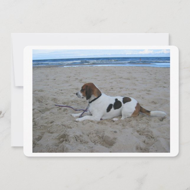 Carte Beagle sur plage.png (Devant)
