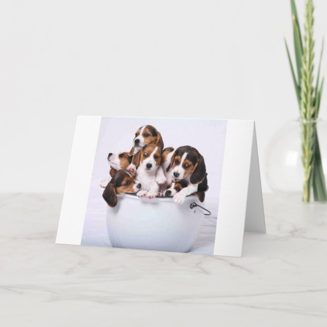 Carte Beagles dans le seau (Devant)