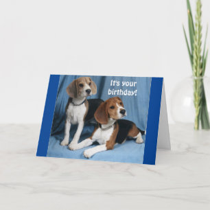 CARTE **BEAGLES** WISHING A VERY HAPPY BIRTHDAY**