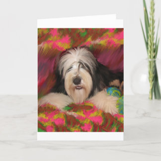 Carte Bearded Collie
