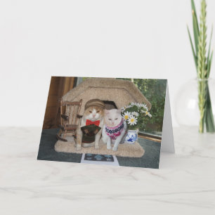 Carte Beau anniversaire avec des chats en chandail de Ja