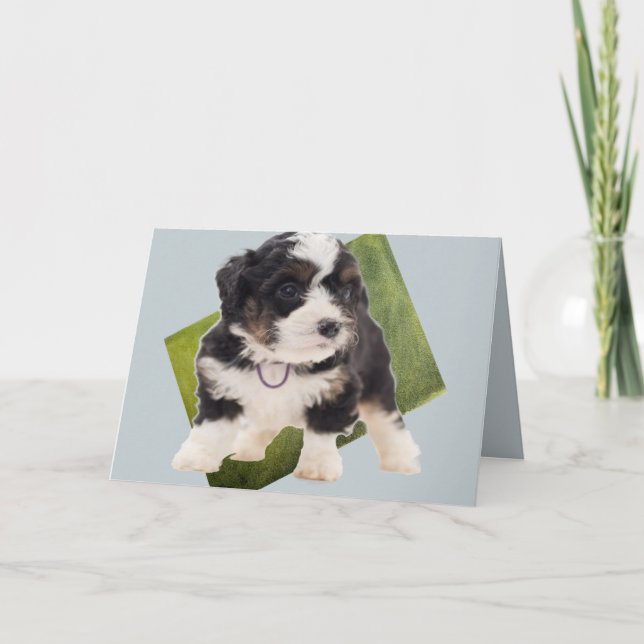 Carte Beau art de la marionnette bernedoodle verte  (Devant)