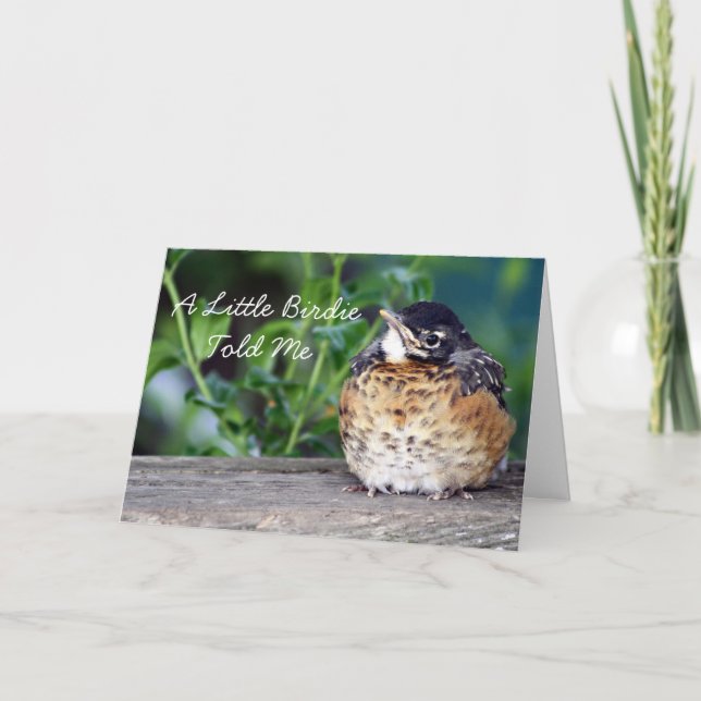 Carte Beau bébé Robin (Devant)