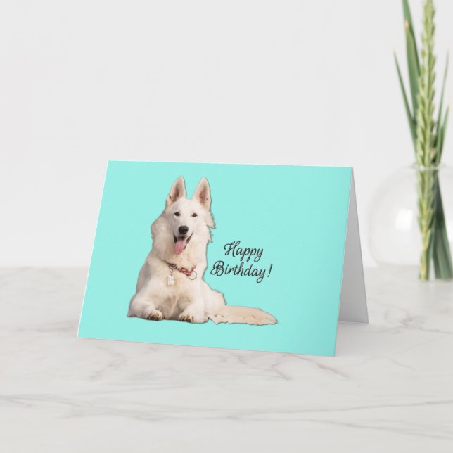 Carte Beau Berger Blanc Allemand Joyeux anniversaire (Devant)