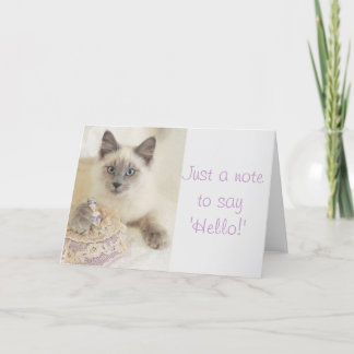 Carte Beau chat juste une note pour dire bonjour la