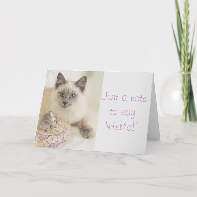 Carte Beau chat juste une note pour dire bonjour la (Devant)