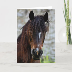 Carte Beau cheval Brown