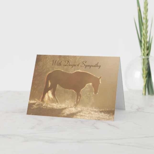Carte Beau cheval dans la perte légère de sympathie de (Devant)