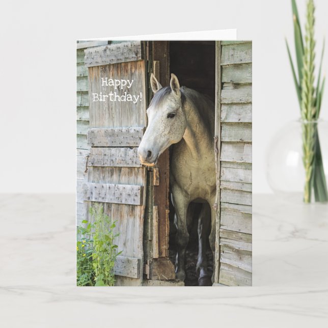 Carte Beau Cheval Gris Mare Personnalisé Joyeux Annivers (Devant)