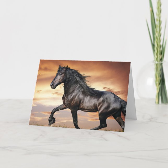 Carte Beau Cheval Noir (Devant)