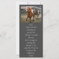 Beau cheval ravit les propriétaires en course clas