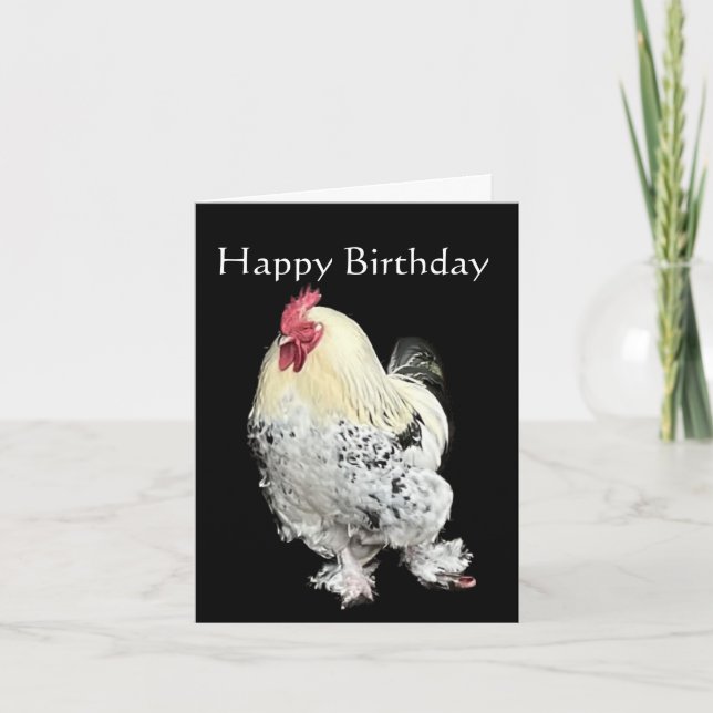 Carte Beau Cockerel (Devant)