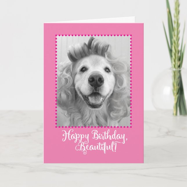 Carte Beau Golden Retriever Avec Curlers Anniversaire (Devant)