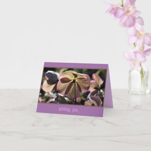 Carte Beau Hellbore Flower Anniversaire (Orchidée)