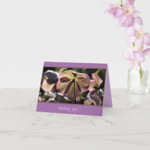 Carte Beau Hellbore Flower Anniversaire
