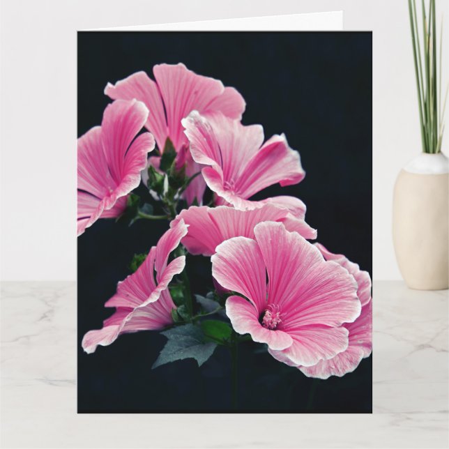 Carte Beau Jardin Roses Mauves Mallow Fleurs (Devant)