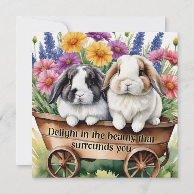 Carte Beau Lapin Lapin Lop Joli frigo (Devant)